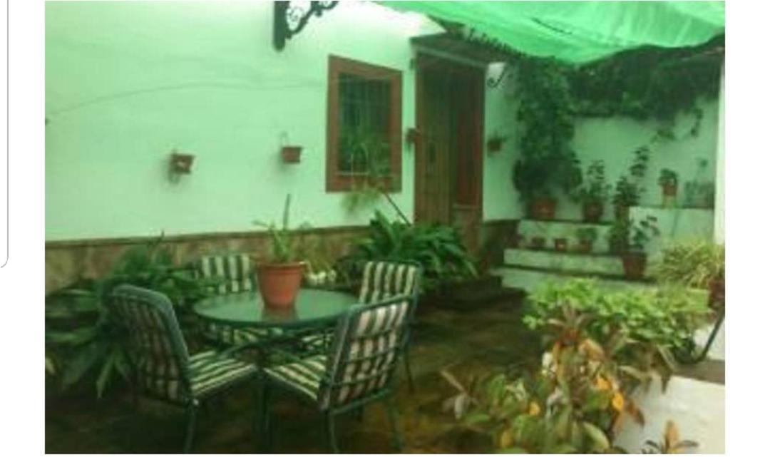 Apartamento En Cortijo Totalmente Reformado En Pleno Paraje Natural Junto Al Caminito Del Rey Y Los Sectores Mas Importantes De Escalada A Solo 2 Minutos De La Estacion De Tren Álora Eksteriør billede